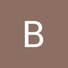briannapaige440